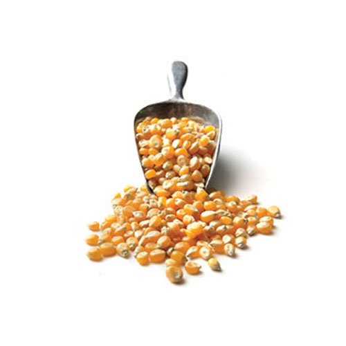 Productos-Pachamama-0001s-0028-maiz-pisingallo